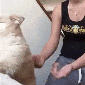 mutual trust gif