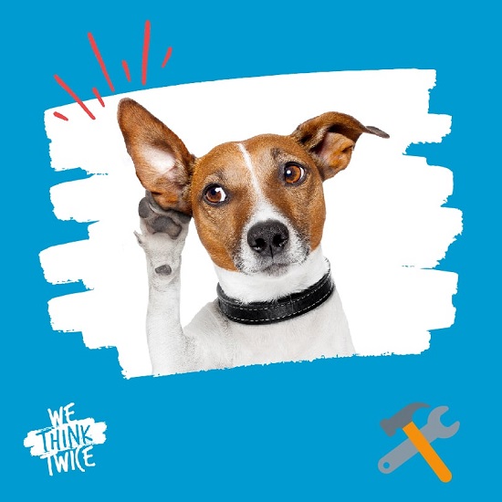 Dog with a listening ear